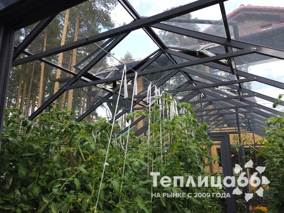 Теплица botanik maximum под стекло или поликарбонат, ширина 3,6 метра